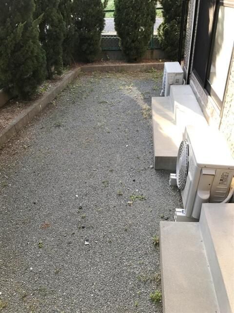 庭