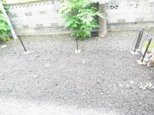 庭