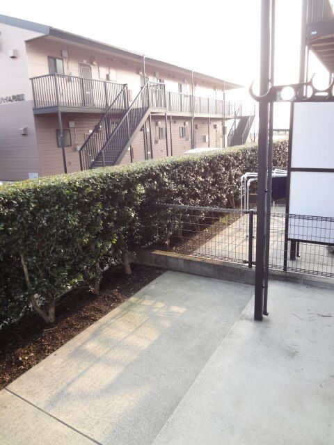 庭