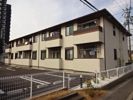 プラシードの間取り画像