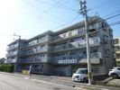 サンライズ美里の間取り画像