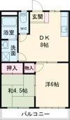 メゾンアメニティーの間取り画像