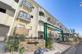 ハルニレの外観画像