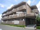 セルフィ・Tの外観