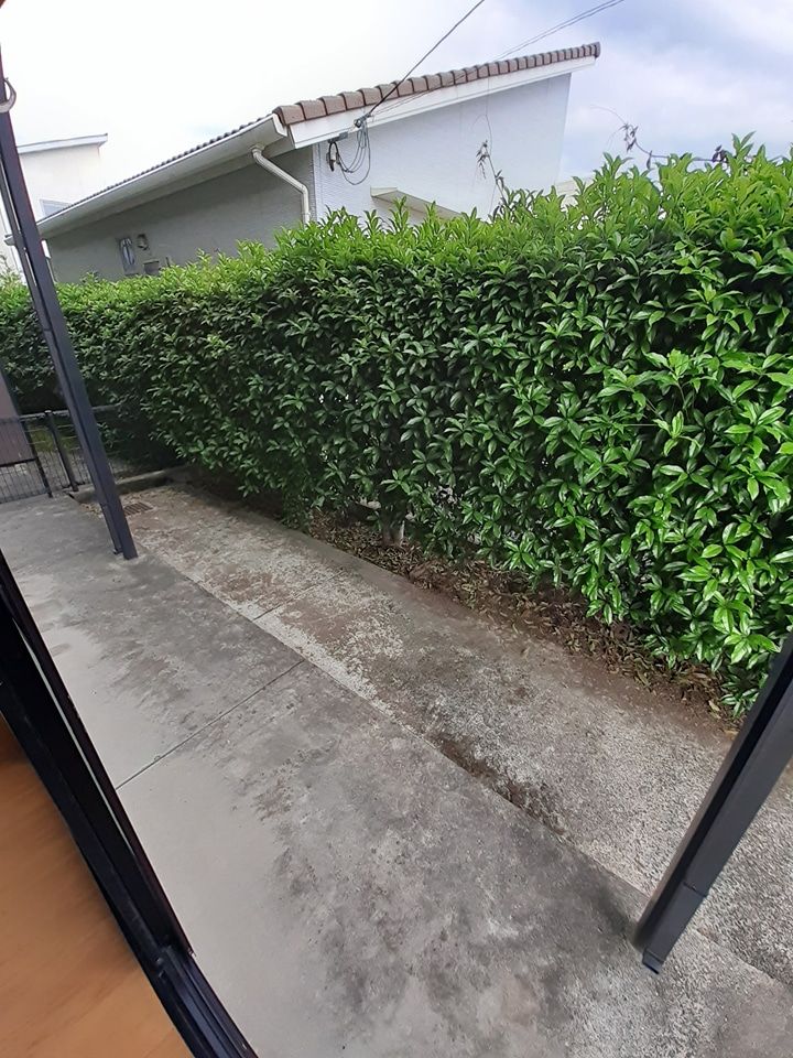 庭