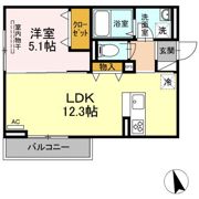 D-room椿の間取り画像