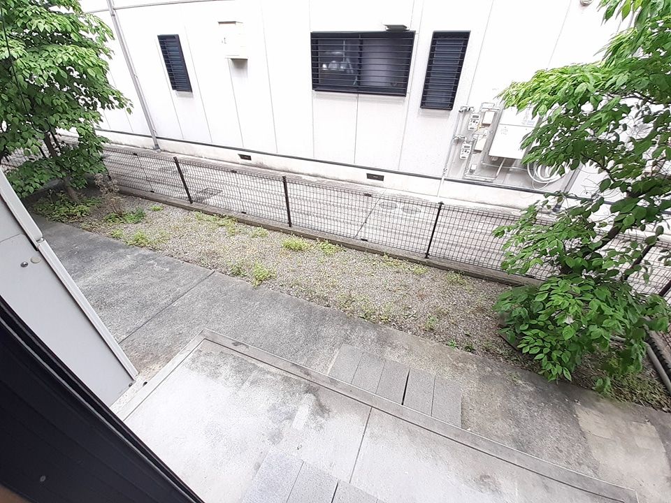 庭