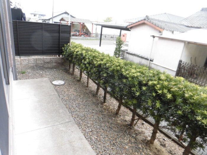 庭