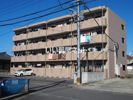 プレミアム五番館の間取り画像