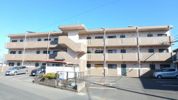 サンライズ桜台の間取り画像
