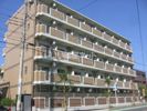 ベルク フェルトの間取り画像