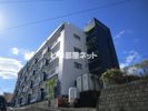 MINT石垣の間取り画像