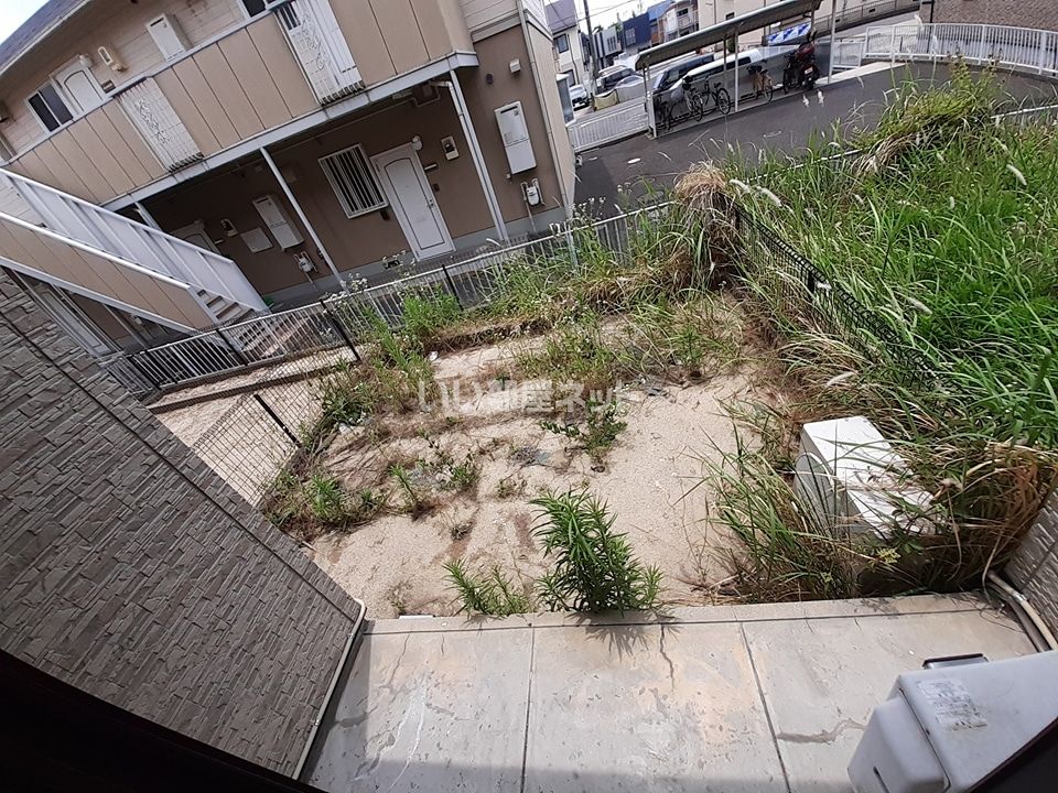 庭