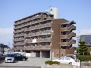 ウェルスMoriの間取り画像