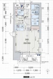 プレサンス新栄デコールの間取り画像