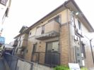 シャノンの間取り画像
