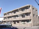 Y&Mカルム東峰の間取り画像