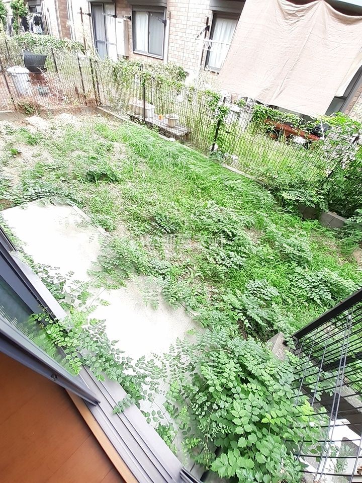 庭
