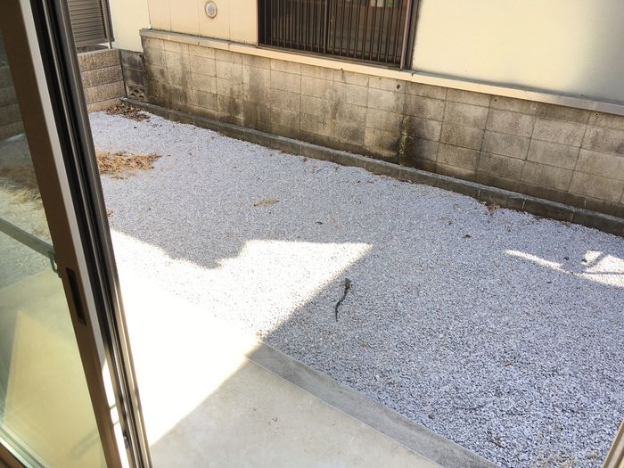 庭