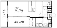 メゾンベールⅡの間取り画像