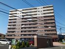 グランド リーフの間取り画像