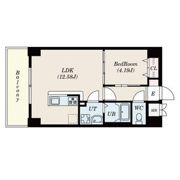 GRANDUKE新栄の間取り画像