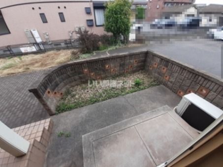 庭