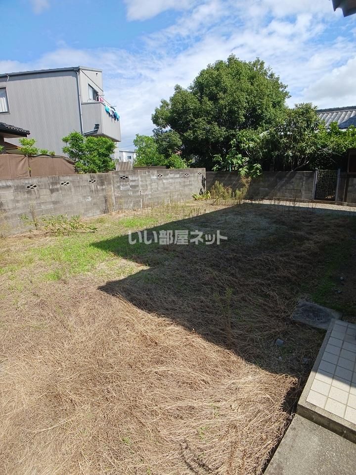 庭