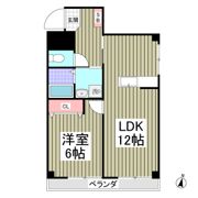 ドミール中島の間取り画像