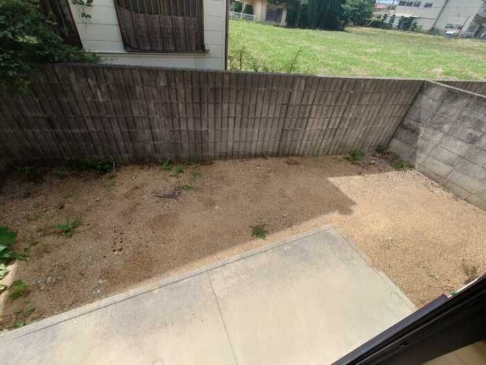 庭