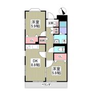 メゾン・ラフィーネⅡの間取り画像