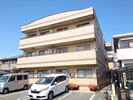 ヴィヴィッドの間取り画像