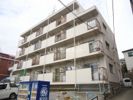 ヤングヴィレッジの間取り画像