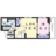 グレイスの間取り画像