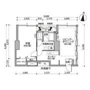 東雲キャナルコートCODAN11号棟の間取り画像