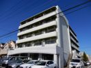 コーラルトップの間取り画像