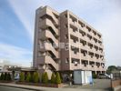シーベルの間取り画像