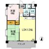 ヴィンテージ本多 Ⅲの間取り画像