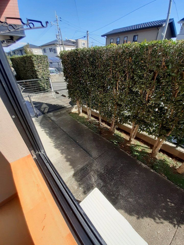 庭