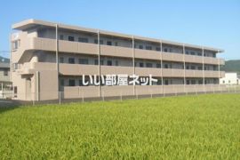 Y＆M Luxeの外観画像