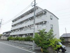 young leavesの外観画像