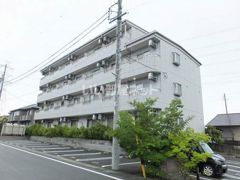 young leavesの外観画像