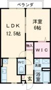 蔵・KATAYAMA B棟の間取り画像