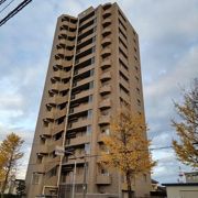 サーパス大泉東の外観画像