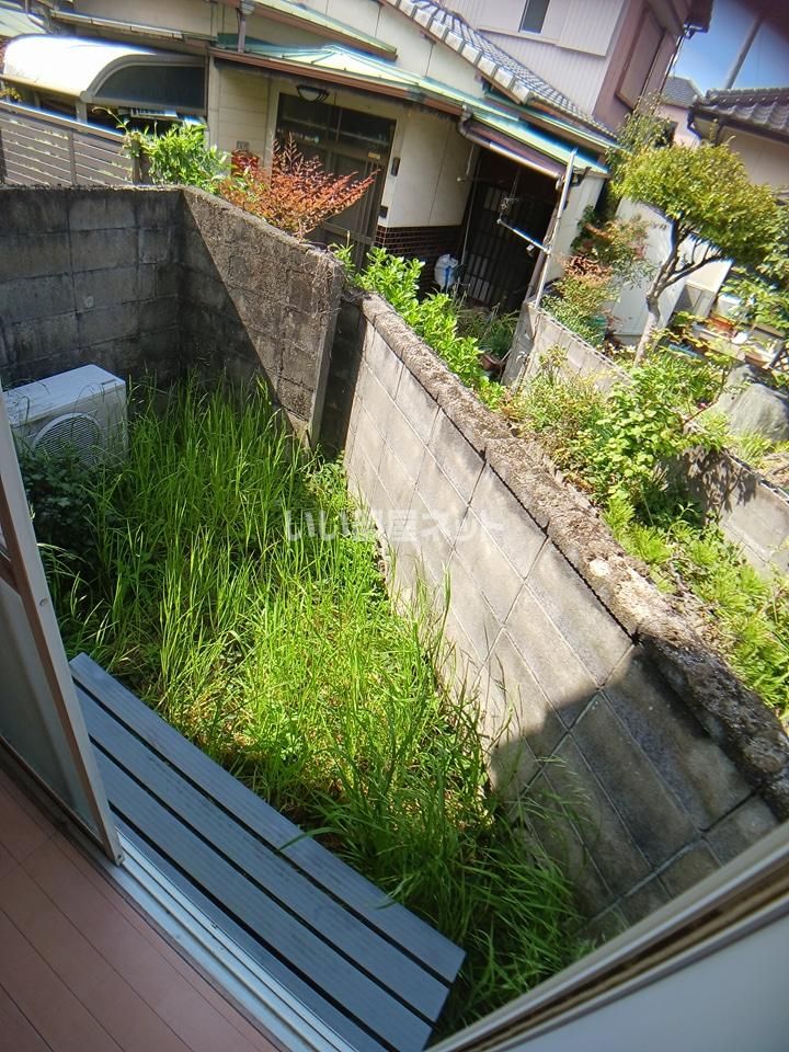 庭