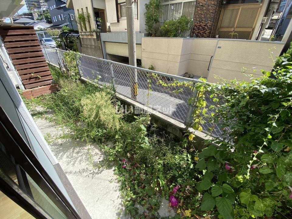 庭