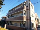 レグルス中央林間の間取り画像
