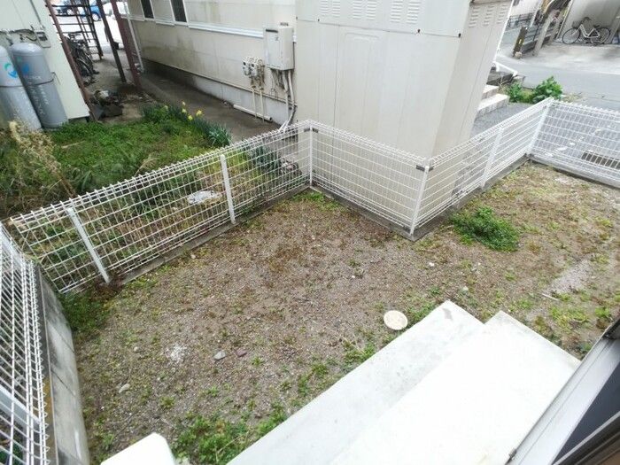 庭