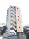 Dear courtの間取り画像