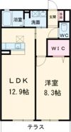 シャーメゾン千鳥の間取り画像